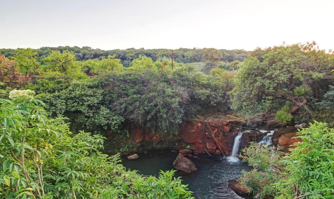 Mahābaleshwar Treebo La Paradise מראה חיצוני תמונה